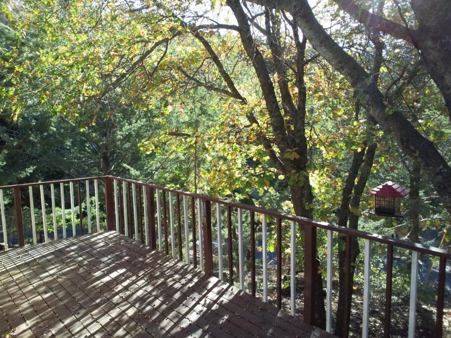 Historical Cabin In Julian Pet'S Okay! Ngoại thất bức ảnh