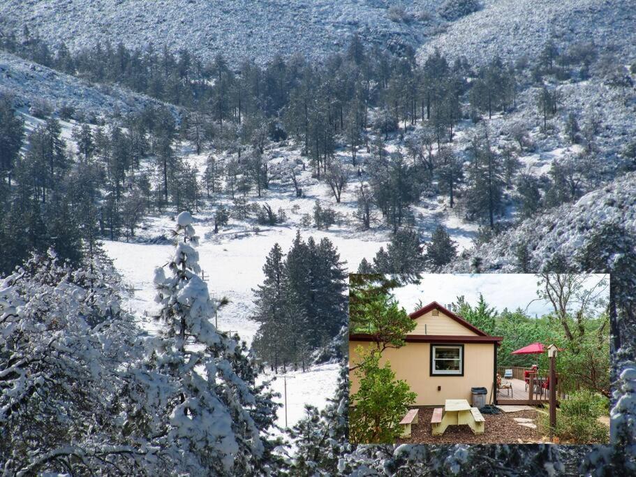 Historical Cabin In Julian Pet'S Okay! Ngoại thất bức ảnh